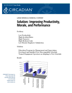 Case Study: Large Mining & Chemical Company